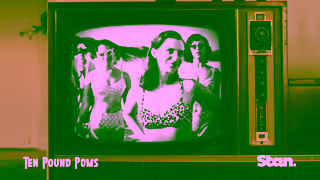 Stan Ten Pound Poms S2 Broad V2 NS 15 Ad Commercial Brand Imagery Photoshoot 1