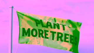 The Woodland Trust Plant More Trees TV Ad Ad Commercial Brand Imagery Photoshoot 1