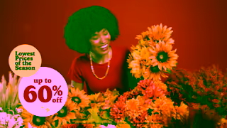 Michaels Stores Fall LPOS Sale 15 CAN Michaels Ad Commercial Brand Imagery Photoshoot 0