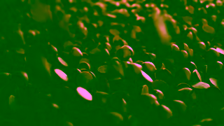 MadeGood Foods Highly Thoughtful Snacks Organic MadeGood Ad Commercial Brand Imagery Photoshoot 1