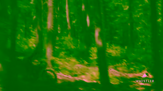 Tourism Whistler Whistler Mecca of Mountain Bike Culture Ad Commercial Brand Imagery Photoshoot 0