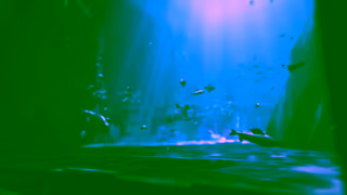 STRINOVA Strinova Superstring Agent Cinematic Trailer Fuchsia strinova Ad Commercial Brand Imagery Photoshoot 0