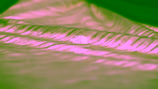 ICEBREAKER The North Face x icebreaker Ad Commercial Brand Imagery Photoshoot 2