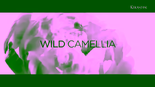 Kerastase NEW Kerastase Elixir Ultime with Wild French Camellia Ad Commercial Brand Imagery Photoshoot 1