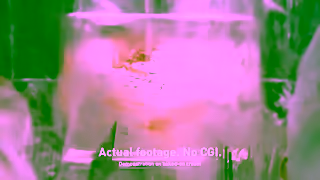 Fairy NEW FAIRY 30 MINUTE MIRACLE 6 Ad Commercial Brand Imagery Photoshoot 2