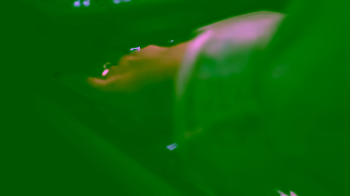 Hyundai ELANTRA ELANTRA gets you there Hyundai Canada Ad Commercial Brand Imagery Photoshoot 1