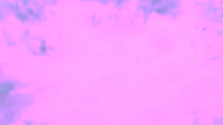 Domestos NEW Domestos Power Foam Removes germs in hardest to reach places Ad Commercial Brand Imagery Photoshoot 2