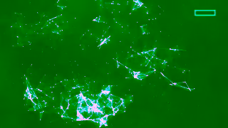 HP Enterprise Connections and the Power of AI 015 EN CC Ad Commercial Brand Imagery Photoshoot 0