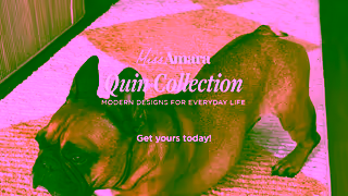 Miss Amara Agatha from the Quin Collection Miss Amara AU NZ HK Ad Commercial Brand Imagery Photoshoot 2