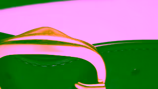 COACH Coach Ad Commercial Brand Imagery Photoshoot 2