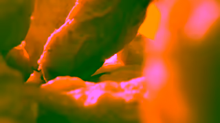 McDonalds McDonalds 20x Chicken McNuggets for 1200 6 Ad Commercial Brand Imagery Photoshoot 0