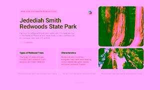 Bing Introducing Copilot Search in Bing Ad Commercial Brand Imagery Photoshoot 1
