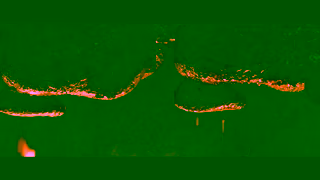 Red Rock Deli RRD Honey Soy Chicken Ad Commercial Brand Imagery Photoshoot 2