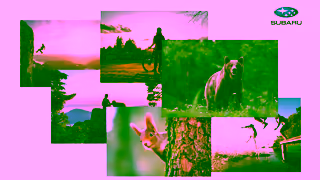 Subaru ODA Subaru SummerRetail PreRoll 16x9 15 v06 1 Ad Commercial Brand Imagery Photoshoot 1