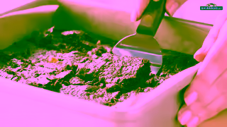 Ghirardelli Ghirardelli OneBowl Flourless Brownies Ad Commercial Brand Imagery Photoshoot 2