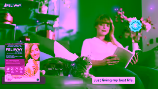 FELIWAY FELIWAY AU Happy Together v2 15s Ad Commercial Brand Imagery Photoshoot 2