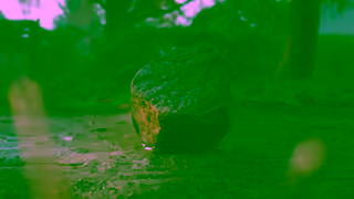 Wealthsimple Sluggish Wealthsimple Ad Commercial Brand Imagery Photoshoot 0