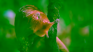 Wealthsimple Sluggish Wealthsimple Ad Commercial Brand Imagery Photoshoot 1