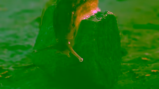 Wealthsimple Sluggish Wealthsimple Ad Commercial Brand Imagery Photoshoot 2