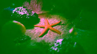 Greenpeace Help Stop Deep Sea Mining Ad Commercial Brand Imagery Photoshoot 0