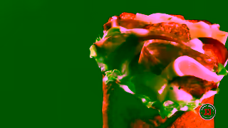 Jimmy John's Jimmy Johns Reviews 06 Ad Commercial Brand Imagery Photoshoot 0