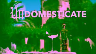 LOBOS 1707 LOBOS WOLF WHISPERER 15 16x9 AD Ad Commercial Brand Imagery Photoshoot 2