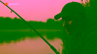 Moomoo CAOption Alerts16x92507081 Ad Commercial Brand Imagery Photoshoot 0