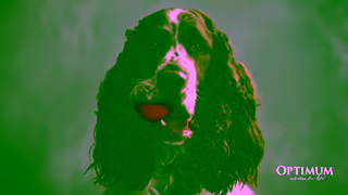 Optimum Pet Lucky You Do Adult Formula Ad Commercial Brand Imagery Photoshoot 1