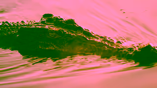 Northern Territory Seek different in the Northern Territory Ad Commercial Brand Imagery Photoshoot 1