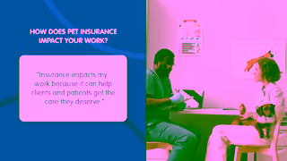 Pets Plus Us What do vets think about pet insurance Ad Commercial Brand Imagery Photoshoot 1