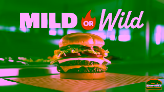 Harvey's The Big Harv Mild or Wild Ad Commercial Brand Imagery Photoshoot 1