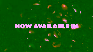 Wendy's BR26203 Wendys 2025 Frostyccino 199Drinks 15 16x9 Ad Commercial Brand Imagery Photoshoot 1