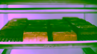 Intuit Employee For The Day w Antoni Porowski oom QuickBooks Ad Commercial Brand Imagery Photoshoot 0