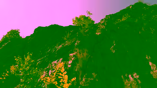 Nature's Sunshine Natures Sunshine Be More Earth Ad Commercial Brand Imagery Photoshoot 0