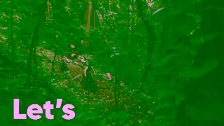 Jackery.com What Can Jackery Power EBiking Expeditions in Springtime Ad Commercial Brand Imagery Photoshoot 0