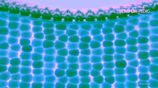 Tempur-Pedic TempurPedic Aches Pains 30 Ad Commercial Brand Imagery Photoshoot 1