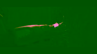 Bungie.net 33462 D2 Warp Launch Trailer 30 16x9 PostLaunch YouTube ESRB Ad Commercial Brand Imagery Photoshoot 1