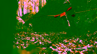 KTM Motorcycles KTM MY 2423 Final Lap PowerDeals AU Ad Commercial Brand Imagery Photoshoot 2