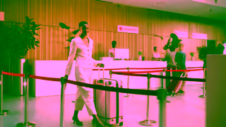 Very.co.uk Welcome to Haus of Flamingo The destination for spring style Ad Commercial Brand Imagery Photoshoot 0