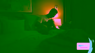 Zoetis Apoquel Big Itch 30 TV Commercial Home Treaters Ad Commercial Brand Imagery Photoshoot 2