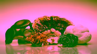 RYZE Superfoods Pour Yourself a Better Cup of Coffee Ad Commercial Brand Imagery Photoshoot 2