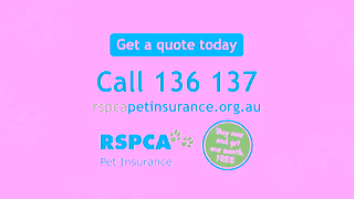 RSPCA RSPCA Pet Insurance Saturday Morning TV Ad 30 secs Ad Commercial Brand Imagery Photoshoot 2