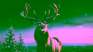 Coca-Cola The Holiday Magic is coming Ad Commercial Brand Imagery Photoshoot 0