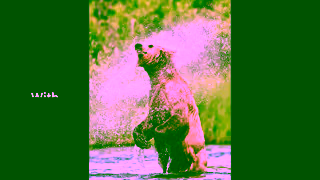 Canon Canon was the 1 Mirrorless Camera Brand in the US in 2023 Ad Commercial Brand Imagery Photoshoot 1