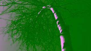 Simplii Financial Slingshot Simplii Ad Commercial Brand Imagery Photoshoot 0