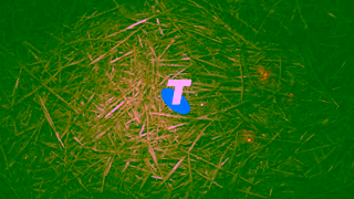 Telstra Christmas Sale Ad Commercial Brand Imagery Photoshoot 2