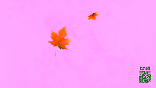 FAMILY FARE Get The Best of The Season for Less Ad Commercial Brand Imagery Photoshoot 2