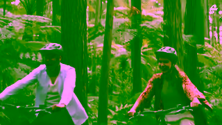 Air New Zealand New Zealand is your love language Ad Commercial Brand Imagery Photoshoot 1