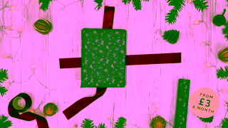 The Donkey Sanctuary Q4 Adoptions 30 sec stop motion Ad Commercial Brand Imagery Photoshoot 1