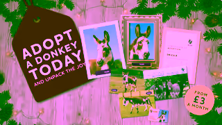 The Donkey Sanctuary Q4 Adoptions 30 sec stop motion Ad Commercial Brand Imagery Photoshoot 2